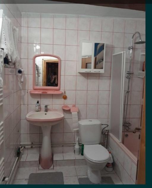 Casa 9 Mai Apartment Sibiu Ngoại thất bức ảnh